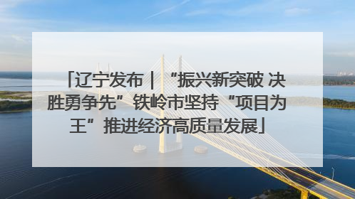 辽宁发布｜“振兴新突破 决胜勇争先”铁岭市坚持“项目为王”推进经济高质量发展