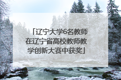 辽宁大学6名教师在辽宁省高校教师教学创新大赛中获奖