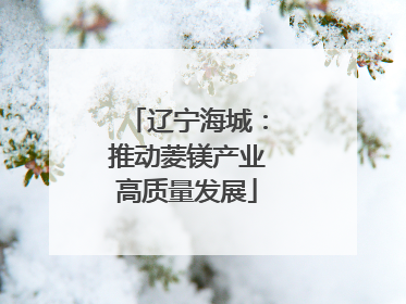 辽宁海城：推动菱镁产业高质量发展