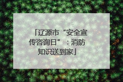 辽源市“安全宣传咨询日”：消防知识送到家