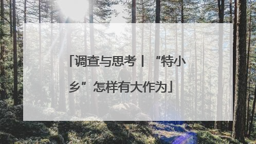 调查与思考丨“特小乡”怎样有大作为