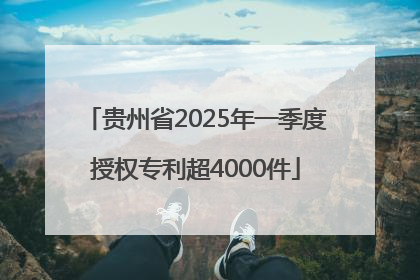 贵州省2025年一季度授权专利超4000件