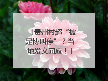 贵州村超“被足协叫停”？当地发文回应！