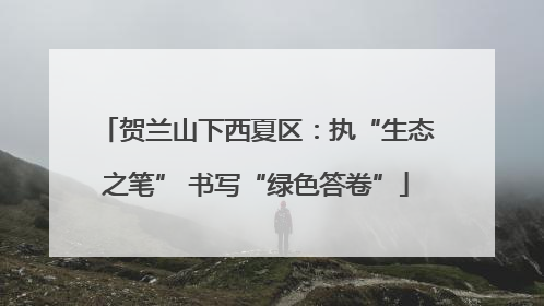 贺兰山下西夏区：执“生态之笔” 书写“绿色答卷”