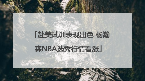 赴美试训表现出色 杨瀚森NBA选秀行情看涨