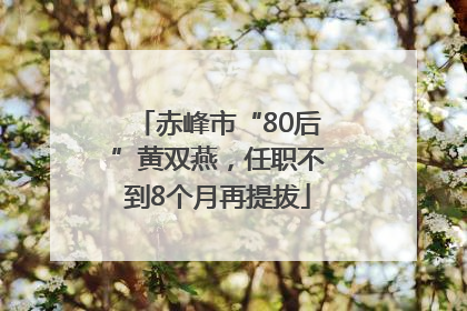 赤峰市“80后”黄双燕，任职不到8个月再提拔