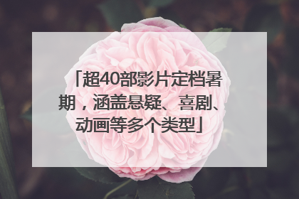 超40部影片定档暑期，涵盖悬疑、喜剧、动画等多个类型