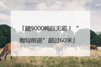 超9000吨巨无霸！“匍匐前进”超过60米
