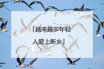 越来越多年轻人爱上新乡