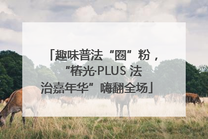 趣味普法“圈”粉，“椿光·PLUS 法治嘉年华”嗨翻全场