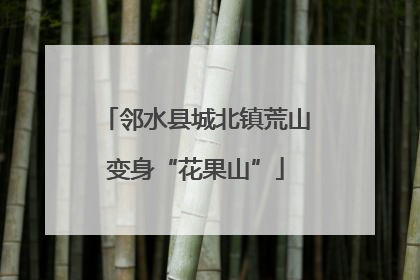 邻水县城北镇荒山变身“花果山”