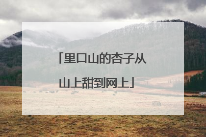 里口山的杏子从山上甜到网上