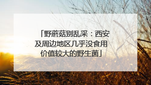 野蘑菇别乱采：西安及周边地区几乎没食用价值较大的野生菌