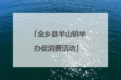 金乡县羊山镇举办促消费活动