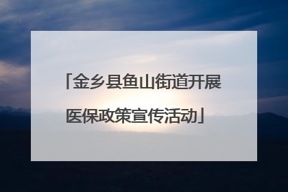金乡县鱼山街道开展医保政策宣传活动