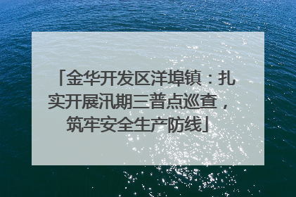 金华开发区洋埠镇：扎实开展汛期三普点巡查，筑牢安全生产防线