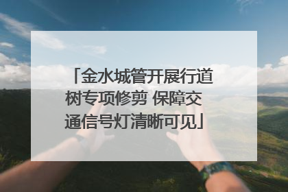 金水城管开展行道树专项修剪 保障交通信号灯清晰可见