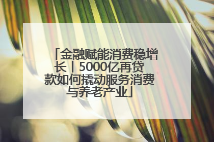金融赋能消费稳增长丨5000亿再贷款如何撬动服务消费与养老产业