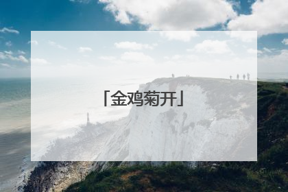 金鸡菊开