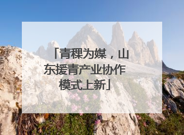 青稞为媒，山东援青产业协作模式上新