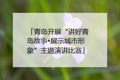 青岛开展“讲好青岛故事•展示城市形象”主题演讲比赛