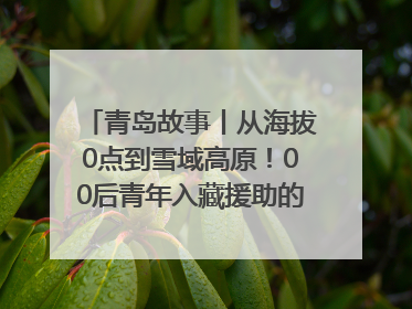 青岛故事丨从海拔0点到雪域高原！00后青年入藏援助的400多个日夜