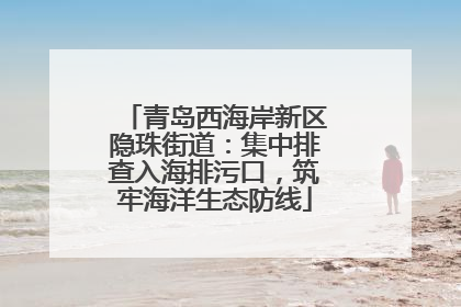 青岛西海岸新区隐珠街道：集中排查入海排污口，筑牢海洋生态防线