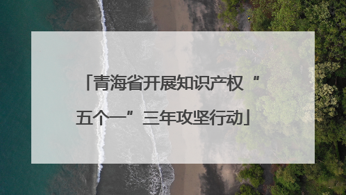 青海省开展知识产权“五个一”三年攻坚行动