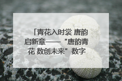 青花入时裳 唐韵启新章——“唐韵青花 数创未来”数字文创设计大赛启幕