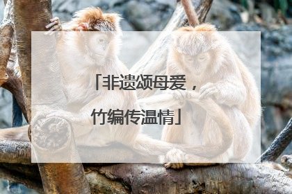 非遗颂母爱，竹编传温情