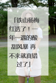 铁山杨梅红透了！一年一遇的酸甜风暴 再不来就真错过了