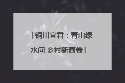 铜川宜君：青山绿水间 乡村新画卷