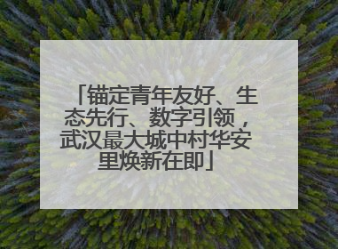 锚定青年友好、生态先行、数字引领，武汉最大城中村华安里焕新在即