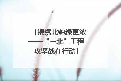 锦绣北疆绿更浓——“三北”工程攻坚战在行动