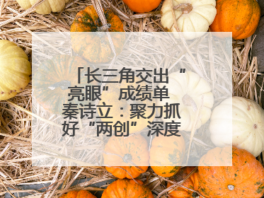 长三角交出“亮眼”成绩单 秦诗立：聚力抓好“两创”深度融合这个棋眼