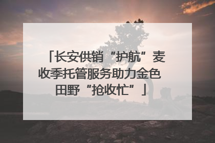 长安供销“护航”麦收季托管服务助力金色田野“抢收忙”