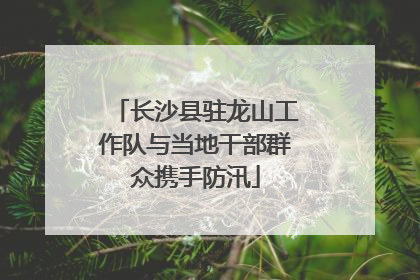 长沙县驻龙山工作队与当地干部群众携手防汛