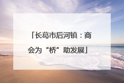 长葛市后河镇：商会为“桥”助发展