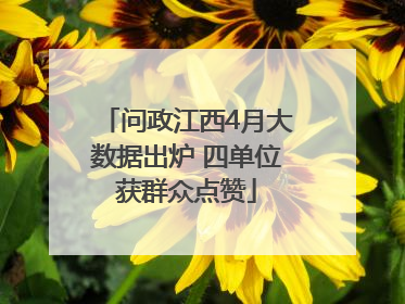 问政江西4月大数据出炉 四单位获群众点赞