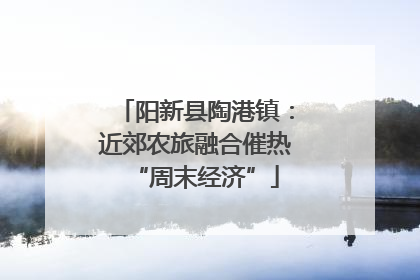 阳新县陶港镇：近郊农旅融合催热“周末经济”