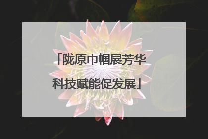 陇原巾帼展芳华 科技赋能促发展