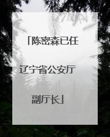 陈密森已任辽宁省公安厅副厅长