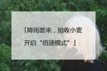 降雨要来，抢收小麦开启“倍速模式”