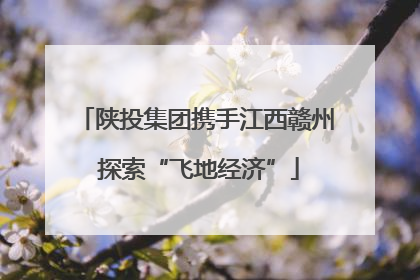 陕投集团携手江西赣州 探索“飞地经济”