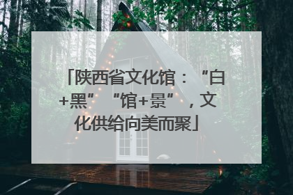陕西省文化馆：“白+黑”“馆+景”，文化供给向美而聚