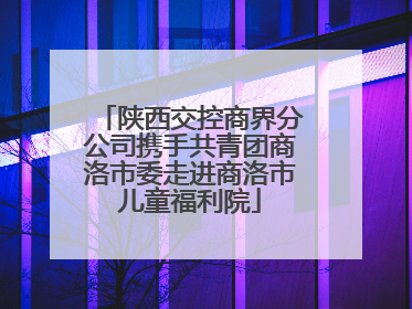 陕西交控商界分公司携手共青团商洛市委走进商洛市儿童福利院