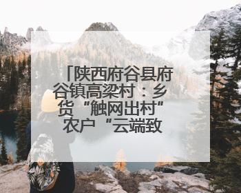 陕西府谷县府谷镇高梁村：乡货“触网出村” 农户“云端致富”