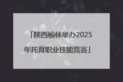陕西榆林举办2025年托育职业技能竞赛