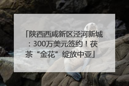 陕西西咸新区泾河新城：300万美元签约！茯茶“金花”绽放中亚