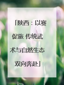 陕西：以赛促旅 传统武术与自然生态双向奔赴
